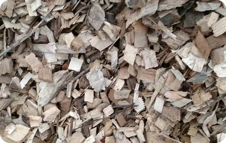 Using woodchips for heat is not only good for the environment, but also for the local economy